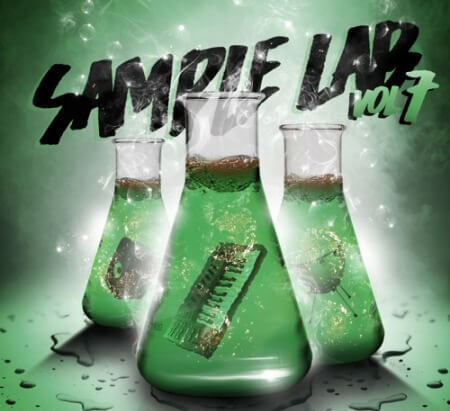 2DEEP Sample Lab Vol.7 WAV